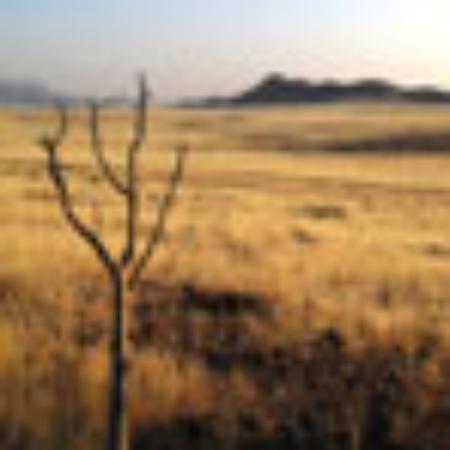 Restauracja Kulinarna Enklawa